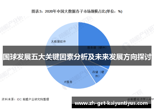国球发展五大关键因素分析及未来发展方向探讨