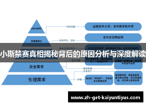 小斯禁赛真相揭秘背后的原因分析与深度解读