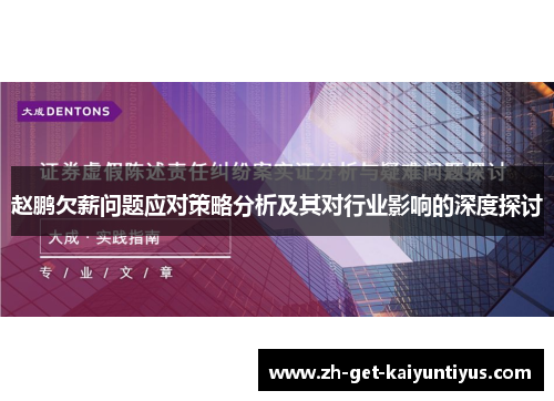 赵鹏欠薪问题应对策略分析及其对行业影响的深度探讨