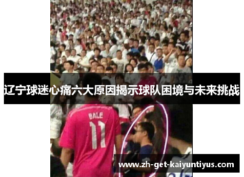 辽宁球迷心痛六大原因揭示球队困境与未来挑战
