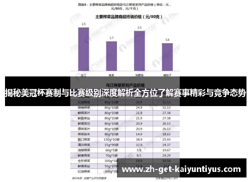 揭秘美冠杯赛制与比赛级别深度解析全方位了解赛事精彩与竞争态势