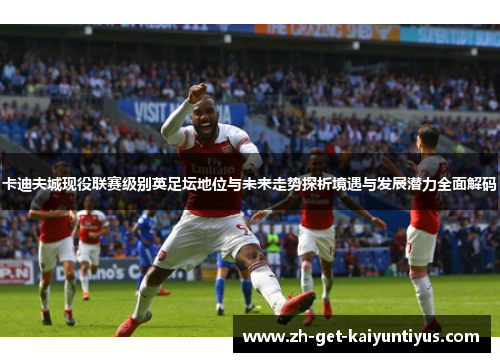 卡迪夫城现役联赛级别英足坛地位与未来走势探析境遇与发展潜力全面解码